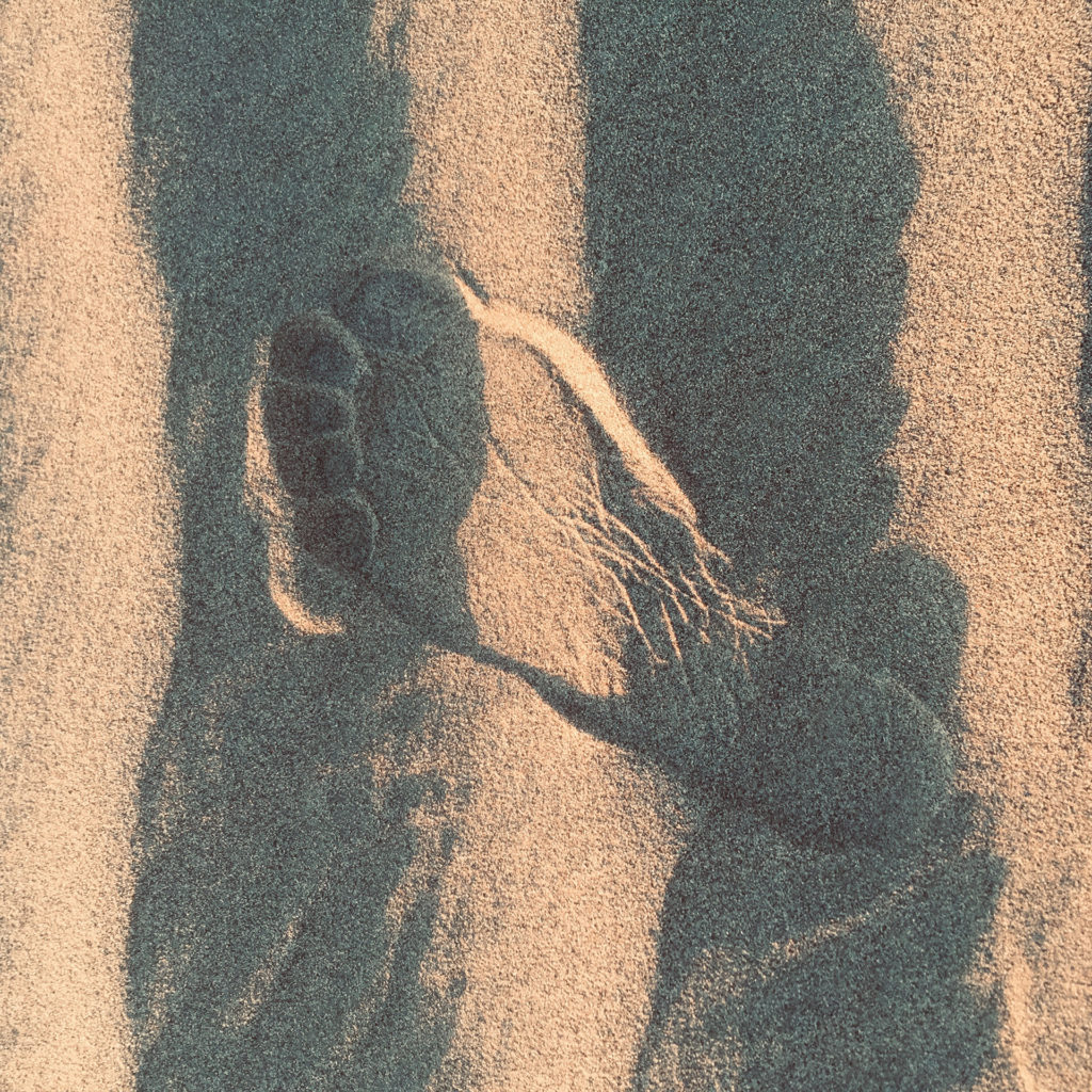 A footprint into the sand