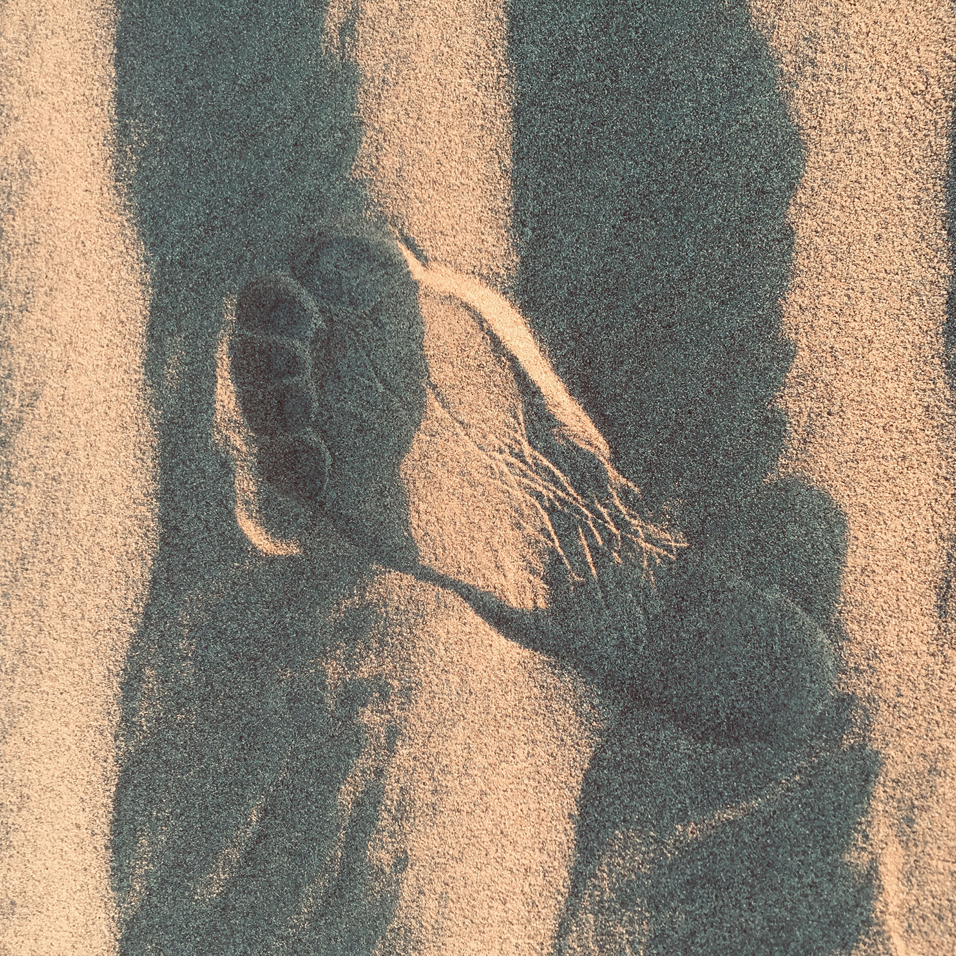 A footprint into the sand